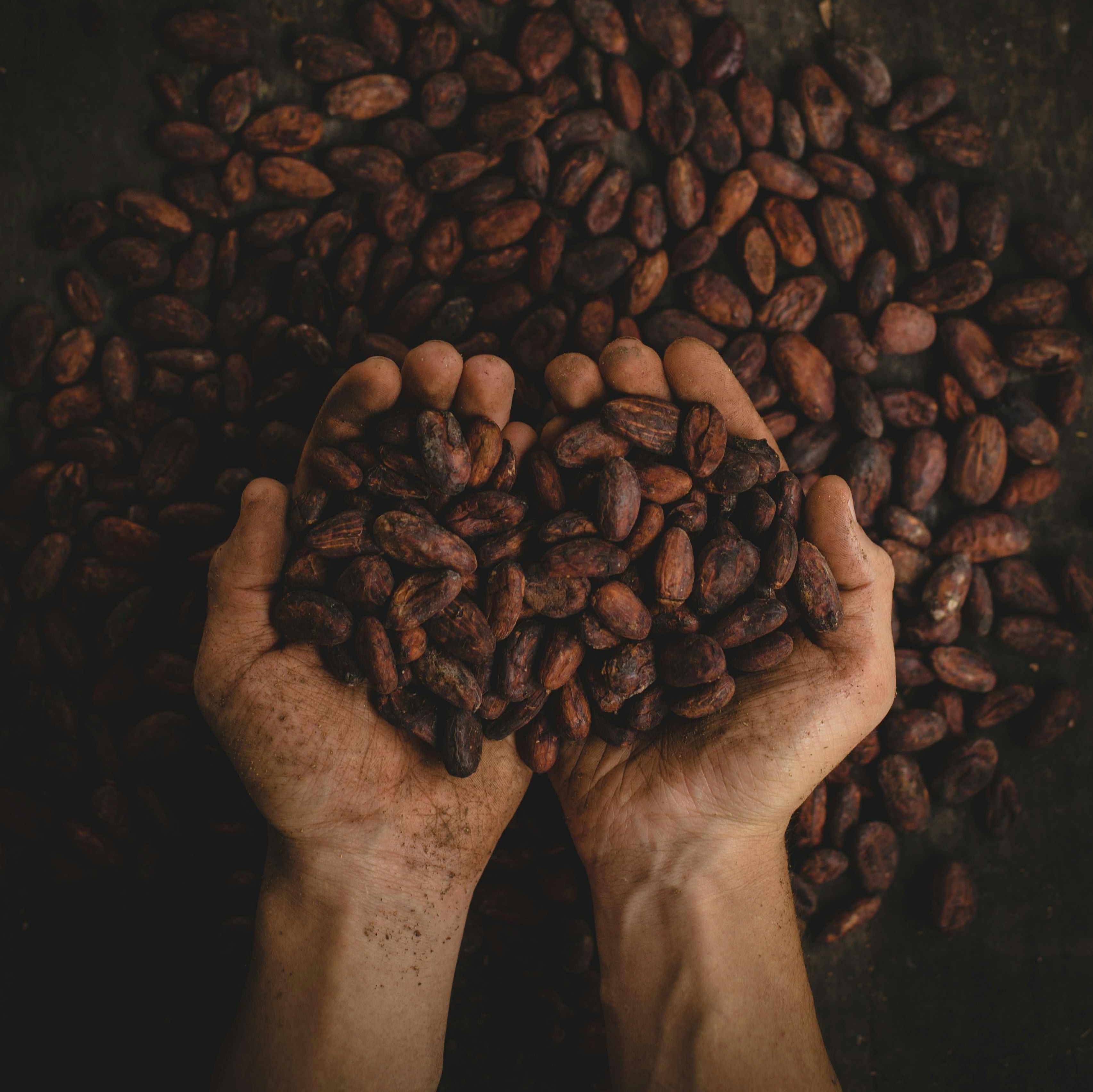 Atelier-Sable-Mechelen-vegan-glutenvrij-cacaobonen-1