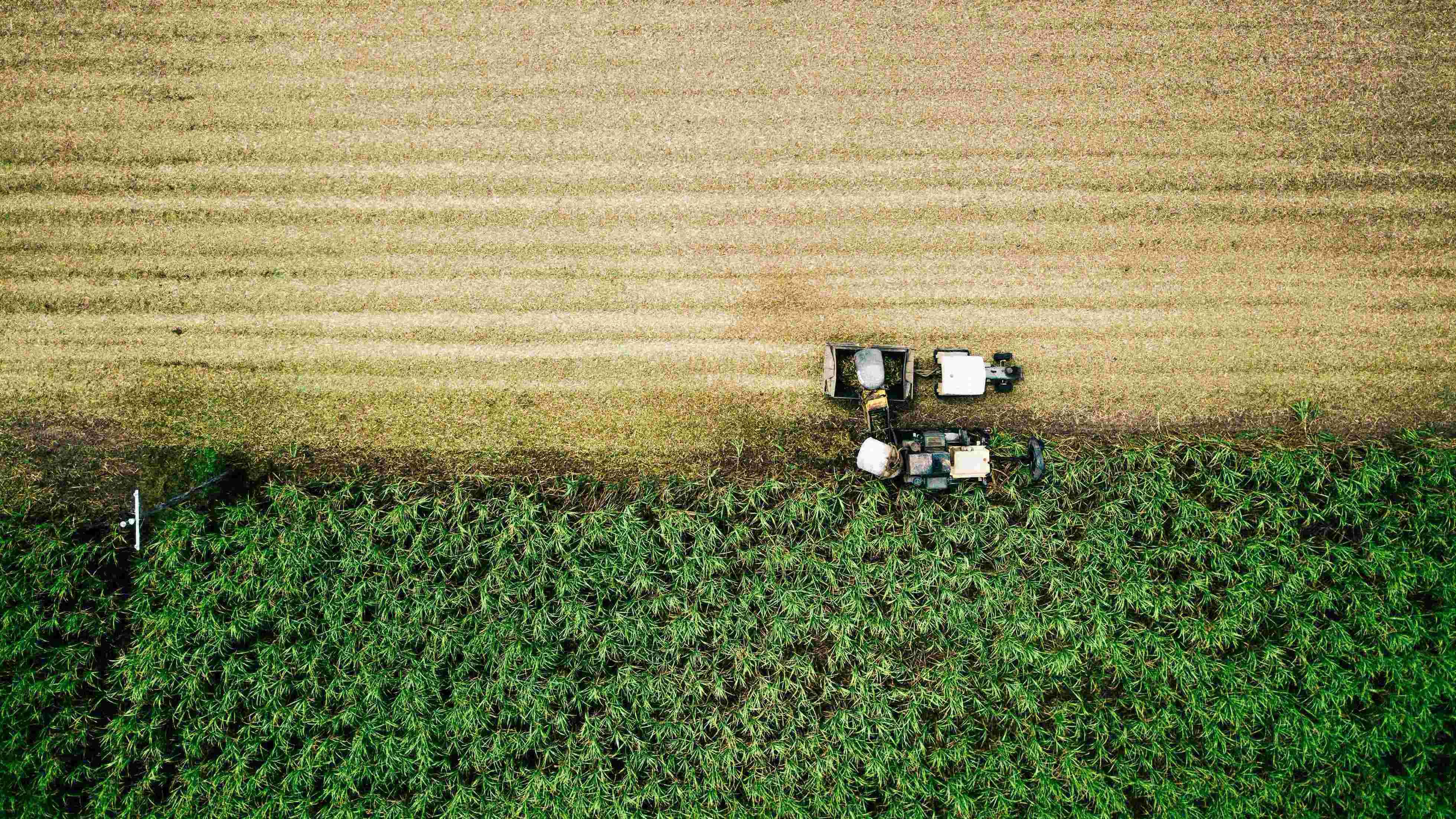 atelier-sable-mechelen-vegan-glutenvrij-taart-suikeroogst-16-op-9